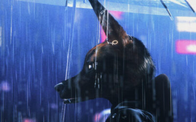 Festival International du Film Indépendant de Bordeaux 2025 : nos coups de cœur